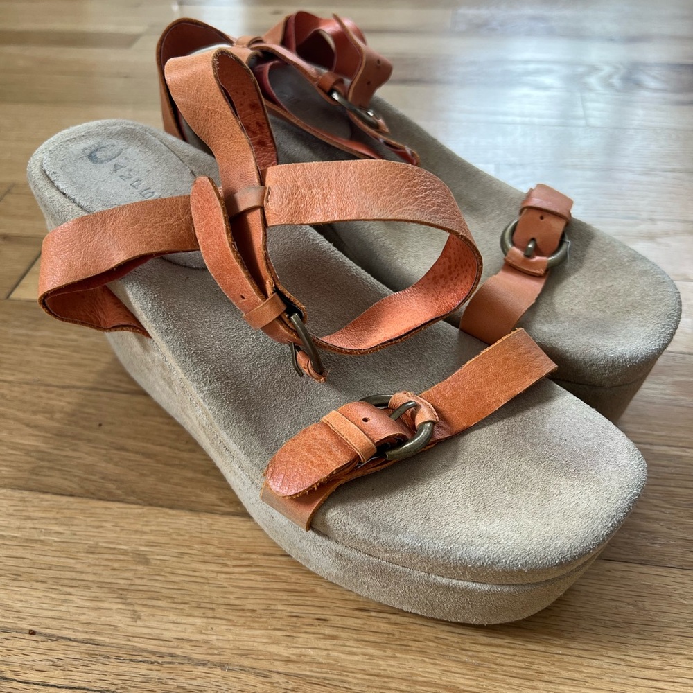 Jeffery Campbell Moochie
